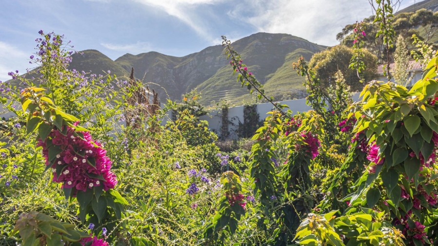 4 Bedroom Property for Sale in Berghof Western Cape
